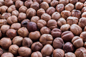 Many hazelnuts