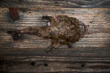 Raw fish over wooden background, top view