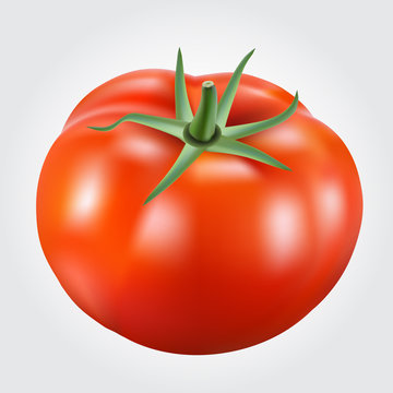 Beautiful tomato on white background