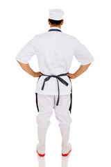 rear view of male chef