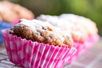 Coffee Cake Muffins