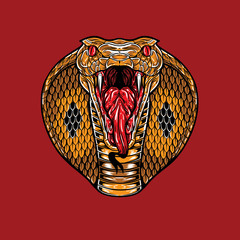 Fototapeta premium Angry King Cobra Face. A King Cobra head showing angry expression. 