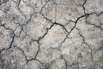 dry soil cracked background
