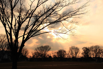 冬の夕暮れ風景