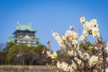 Osaka castle and plum blossom