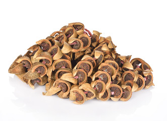dry areca nut or betel nut or areca catechu for chewing snack on