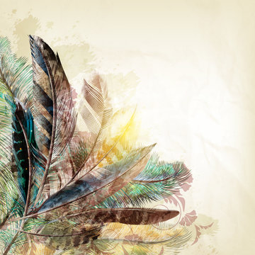 Vector Background With Colorful Feathers