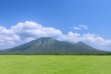 Fototapeta premium Spring grass with mountains in the background