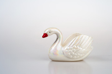 white swan on white background