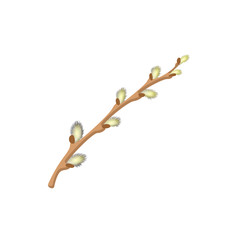 Pussy willow branche cartoon icon