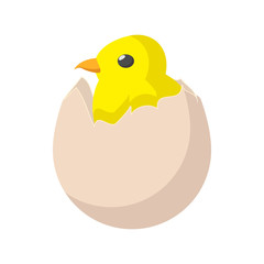 Yellow newborn chicken hatched from the egg icon