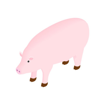 Pig isometric 3d icon