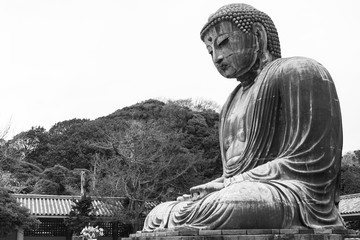 Giant Buddha Statue in Japan