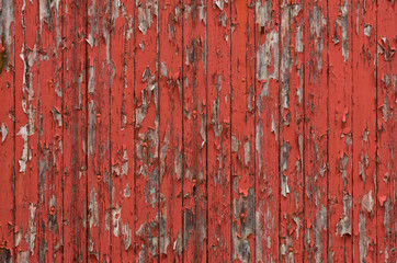 Bilder und Videos suchen: altholz