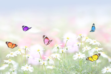 Naklejki  花畑に舞う蝶の群れ