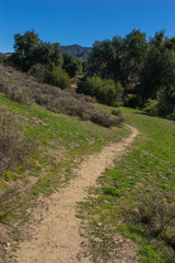 Fototapeta na wymiar California Dirt Walking Trail