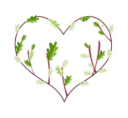 Fresh Green Leaves in A Heart Frame
