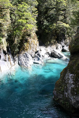 Fototapeta premium Haast River, Blue pond, New Zealand South Island
