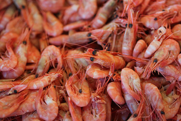 Schrimps auf dem Fischmarkt. Bergen