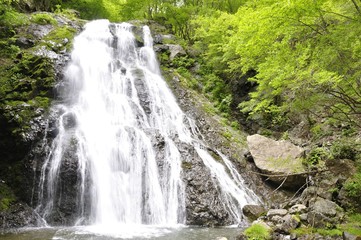 丹沢山地 雷滝