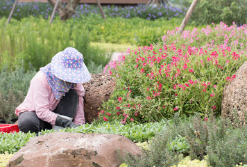 farmer working in garden flower.