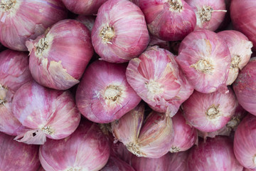 Dense shallot onion with shell background