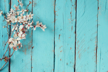 afbeelding van lente witte kersenbloesem boom op blauwe houten tafel