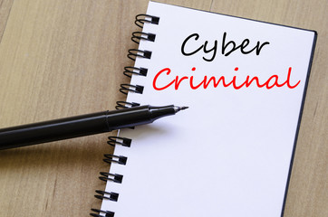 Cyber criminal write on notebook