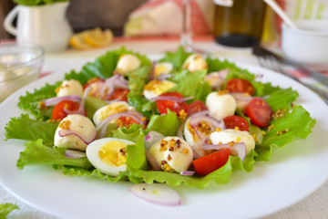 Salad with mozzarella and cherry tomatoes