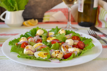 Salad with mozzarella and cherry tomatoes
