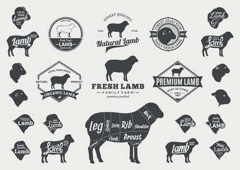 Vector Lamb Logo, Icons, Charts and Design Elements © Vlad Klok