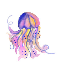 Beautiful watercolor vibrant picture of a floating jellyfish © wedphoto