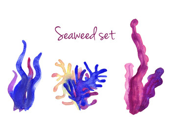 Beautiful watercolor vibrant set of underwater seaweed 