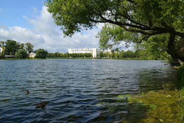 Fototapeta na wymiar View of Holguin a pond in Kolonistsky park. Peterhof