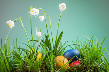 spring snowflake in the grass and Easter eggs