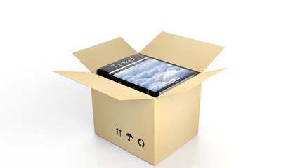 Book on Travel with illustrated cover inside an open cardboard box, on white background.