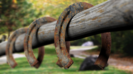 Old rusty horseshoes, set on wooden fence