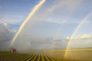 Tractors watering plants