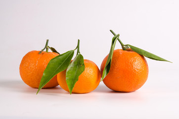 Tangerines