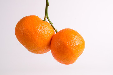 Tangerines