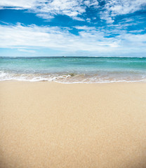 summer beach and sand over sunny day
