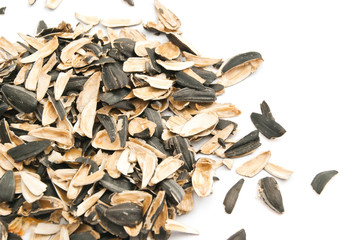 husks of sunflower seeds on white