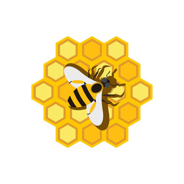 Honeycomb and bee flat icon
