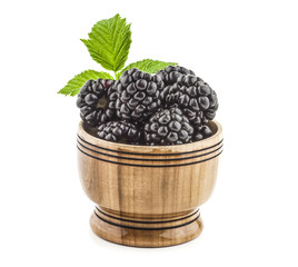 Blackberry with leaves
