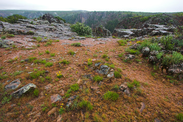 Gunnison national park gorge