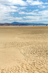Beach Playa de Sotavento, Canary Island Fuerteventura, Spain