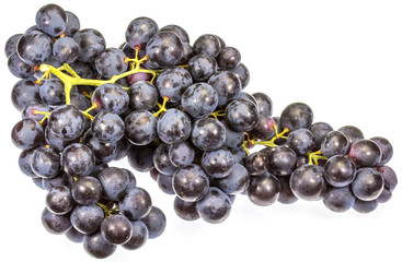 grappe de raisin muscat 