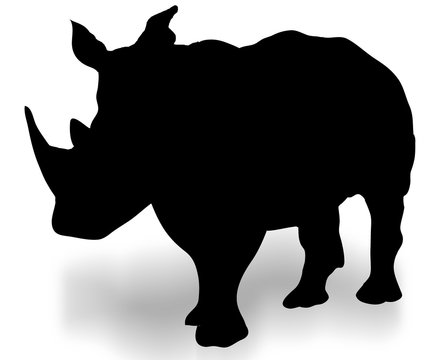 silhouette of a rhino 