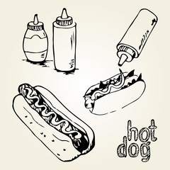 Hot Dog Hand Drawn Illustrations