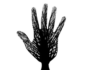 A tree that forms a hand